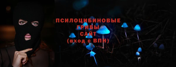 наркотики Бородино